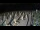 Webcam in Castiglione della Pescaia, 14.2 mi away