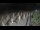 Webcam in Castiglione della Pescaia, 38.7 km entfernt