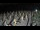 Webcam in Castiglione della Pescaia, 19.4 mi away