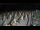 Webcam in Castiglione della Pescaia, 1.7 mi away