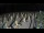 Webcam in Castiglione della Pescaia, 13.6 mi away