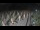 Webcam in Castiglione della Pescaia, 17.9 mi away