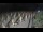 Webcam in Castiglione della Pescaia, 34.7 km entfernt