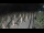 Webcam in Castiglione della Pescaia, 46.3 km entfernt