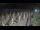 Webcam in Castiglione della Pescaia, 9.9 mi away