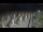 Webcam in Castiglione della Pescaia, 15.8 km entfernt