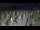 Webcam in Castiglione della Pescaia, 10.6 mi away