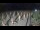 Webcam in Castiglione della Pescaia, 41.5 km