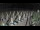 Webcam in Castiglione della Pescaia, 13.6 mi away