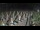 Webcam in Castiglione della Pescaia, 47.6 km