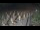 Webcam in Castiglione della Pescaia, 53.1 km
