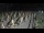 Webcam in Castiglione della Pescaia, 36.9 km