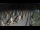 Webcam in Castiglione della Pescaia, 4.7 km