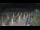Webcam in Castiglione della Pescaia, 13.5 mi away