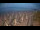 Webcam in Castiglione della Pescaia, 6.1 mi away