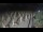 Webcam in Castiglione della Pescaia, 15.3 mi away