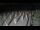 Webcam in Castiglione della Pescaia, 18 mi away