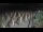Webcam in Castiglione della Pescaia, 9.9 mi away