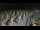 Webcam in Castiglione della Pescaia, 6.1 mi away