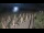 Webcam in Castiglione della Pescaia, 16.5 km