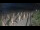 Webcam in Castiglione della Pescaia, 47.6 km entfernt