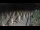 Webcam in Castiglione della Pescaia, 41.5 km