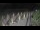 Webcam in Castiglione della Pescaia, 14.6 mi away