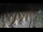 Webcam in Castiglione della Pescaia, 13.6 mi away
