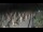 Webcam in Castiglione della Pescaia, 15.8 km entfernt