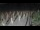 Webcam in Castiglione della Pescaia, 50.3 km