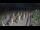 Webcam in Castiglione della Pescaia, 36.7 km entfernt