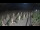 Webcam in Castiglione della Pescaia, 36.7 km