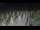 Webcam in Castiglione della Pescaia, 39.8 km