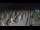 Webcam in Castiglione della Pescaia, 39.8 km entfernt