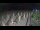Webcam in Castiglione della Pescaia, 6.1 mi away