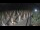 Webcam in Castiglione della Pescaia, 17.9 mi away