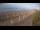 Webcam in Castiglione della Pescaia, 18.4 mi away
