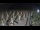 Webcam in Castiglione della Pescaia, 41.5 km