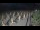 Webcam in Castiglione della Pescaia, 38.6 km entfernt