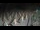 Webcam in Castiglione della Pescaia, 6.1 mi away