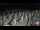 Webcam in Castiglione della Pescaia, 14.6 mi away