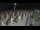 Webcam in Castiglione della Pescaia, 47.6 km entfernt