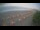 Webcam in Castiglione della Pescaia, 25.7 km