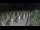 Webcam in Castiglione della Pescaia, 41.5 km