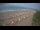 Webcam in Castiglione della Pescaia, 15.8 km entfernt