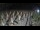 Webcam in Castiglione della Pescaia, 46.8 km