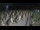 Webcam in Castiglione della Pescaia, 39.8 km entfernt