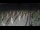 Webcam in Castiglione della Pescaia, 14.2 mi away
