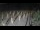 Webcam in Castiglione della Pescaia, 36.9 km entfernt