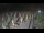 Webcam in Castiglione della Pescaia, 35.2 km entfernt
